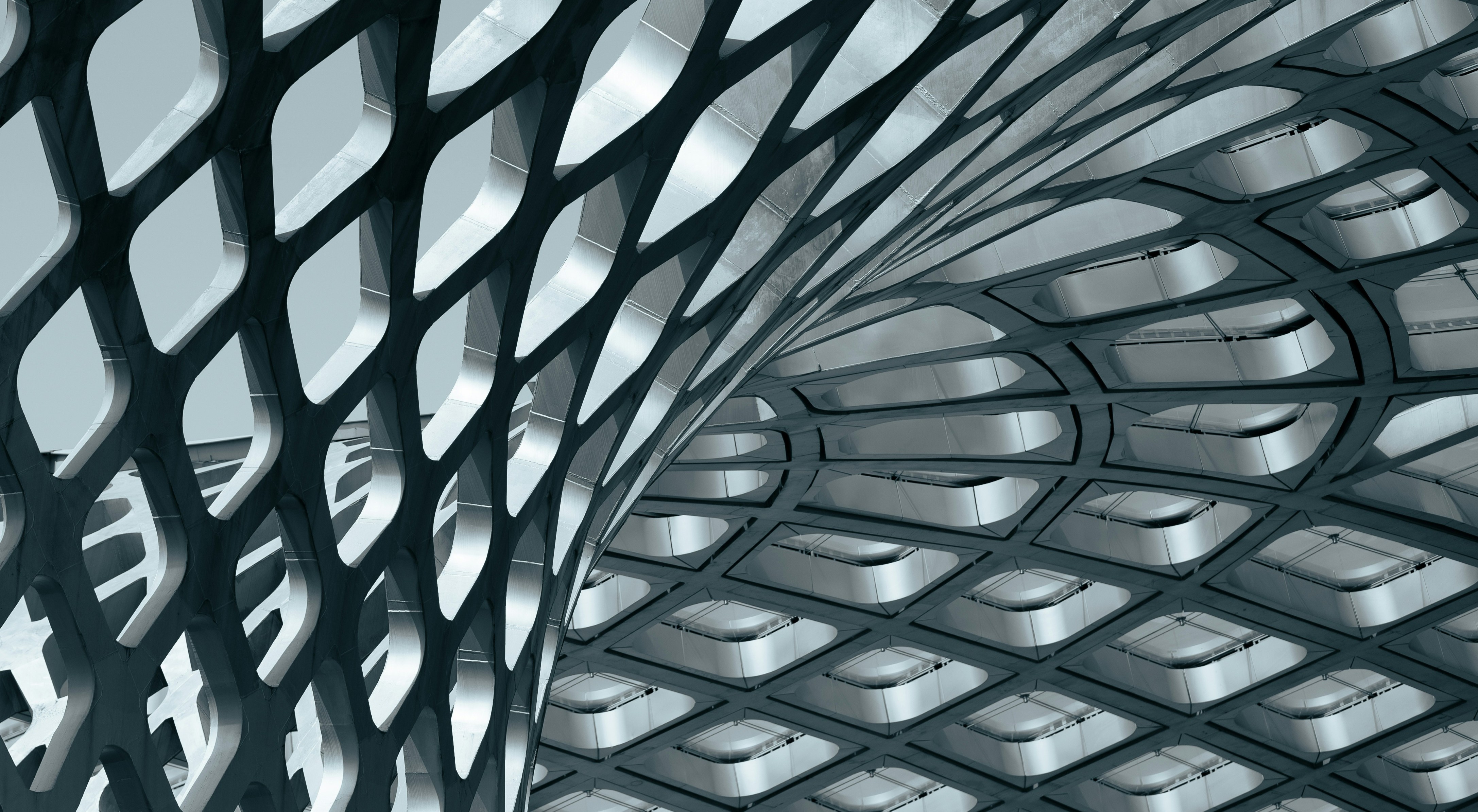 Image related to The TRACE Brief | August 2025